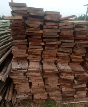 Wooden Planks of All Sizes