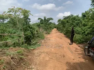 30 Acres of Land for Sale at Idi-Ayunre, Ibadan