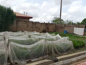 A Fenced Plot of Land in the Main Commercial Hub of Apata, Ibadan.