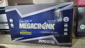 Haus Strom Megacrank Dynamic 100ah Battery, Model Hs600mf38 Mg.