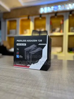 Peerless Assassin 120 Mini Black