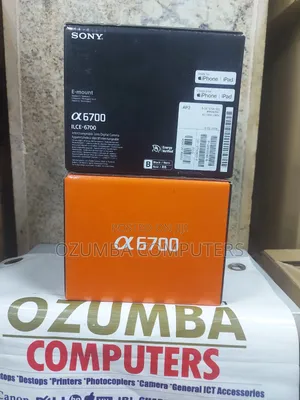 Sony A6700 Mirrorless Camera (Body)