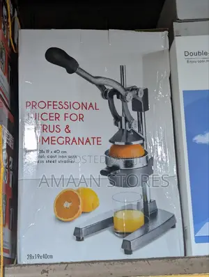 Professional Manual Juicer