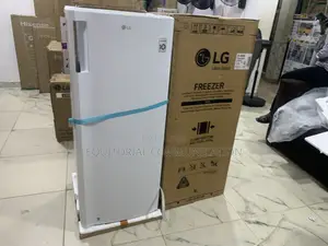 Lg Gn-304sqbr Fridge – Energy Efficient Stylish