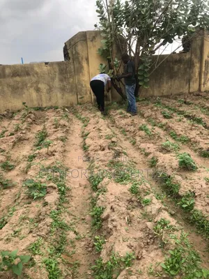 6000sqm Land Available at Kyamie for Sale