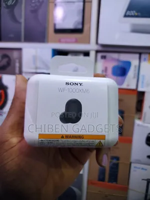 Sony Wf1000xm6 the Best Truly Noise Canceling Earbud