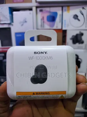 Sony Wf1000xm6 the Best Truly Noise Canceling Earbud