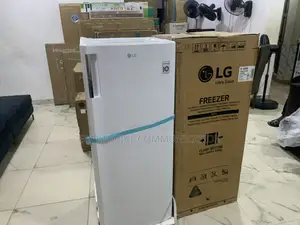 Lg Gn-304sqbr Refrigerator – Stylish Functional