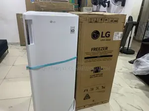 Lg Gn-304sqbr Single Door – Smart Storage Solutions