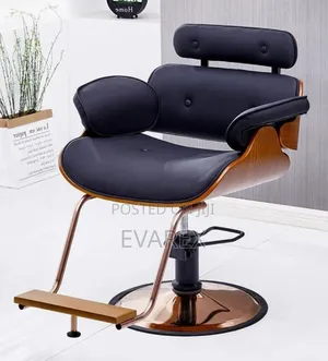 Executive Salon Chair