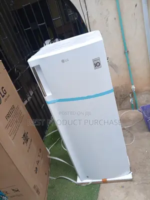Lg Standing Freezer – High Performance Freezing System