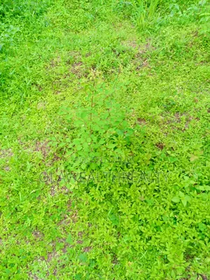 1,042sqm Residential Land at Lere Adigun G.R.A, Bashorun
