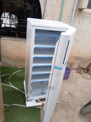 Lg Upright Freezer – Strong Build, Quiet Operation