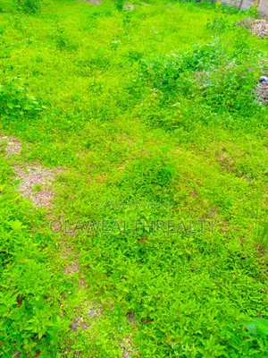 510sqm Commercial Land at Kolapo Ishola Gra