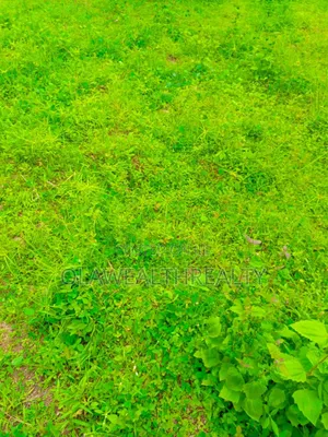 1029sqm Residential Land at Lere Adigun Gra, Bashorun