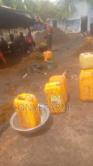 Palm Oil for Sale