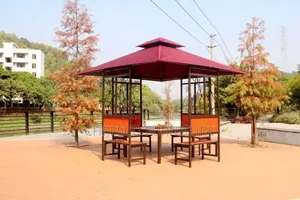 Complete Set of Sun Canopy