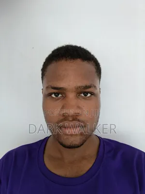 Mr Daniel Onyemaizu