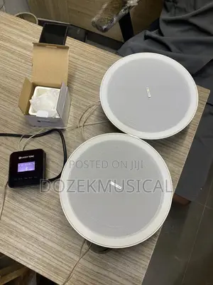 Lucky Tone Ceiling Speaker and Wall Amp