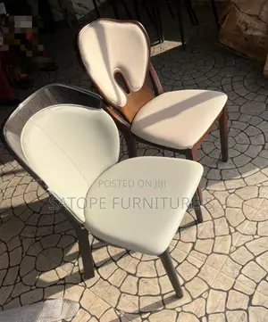 Elegant Design Dining Chair