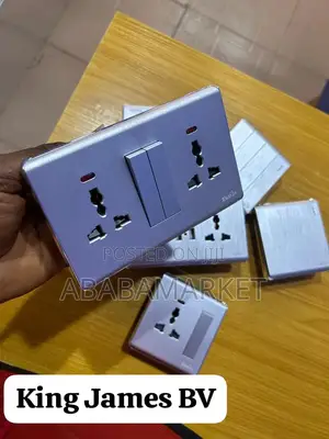 Silver Switches and Socket