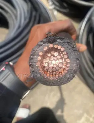 300mm 1c Armoured Cable