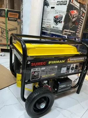 Spg6500e2 Firman 4.5kva Petrol Generator With Engrave to Show Original