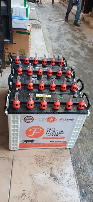 Fenicity Solar Tall Tubular Battery 220ah Made in India