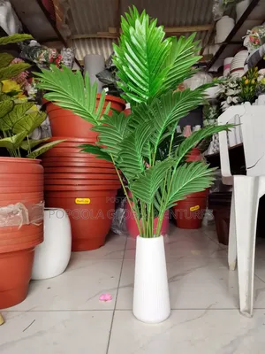 Palm Tree Plant With Flower Pot