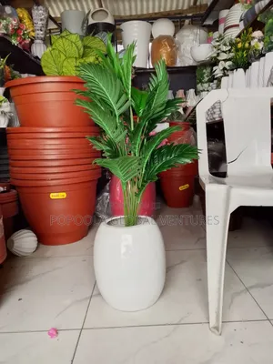 Viber Small Pot With Palm Tree