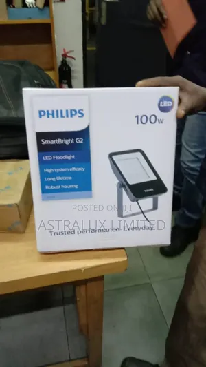 100w Flood Light Philips