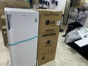 Lg Gn-304sqbr Fridge – Reliable Cooling for Every Home