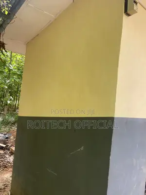 House Painting And Design