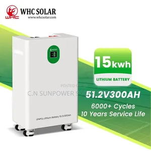 15kwh/51.2v WHC Solar Lithium-Iron Battery