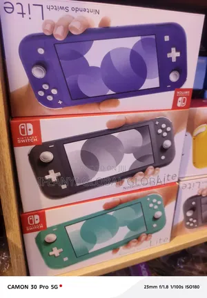 Nintendo Lite