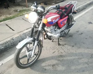 Twinco Tiger 2024 Red