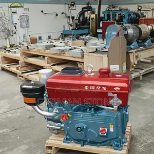 Tengka R195 8hp 12hp Stationary Cylinder Diesel Engine