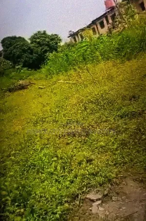 Land for Sale in Surulere