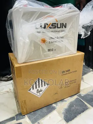 2.5kwh 24v Luxsun Lithium Ion Battery
