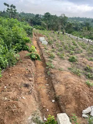 Half a Plot of Land in Ikorodu, Oke Arubi, Off Mojoda Road Adamo