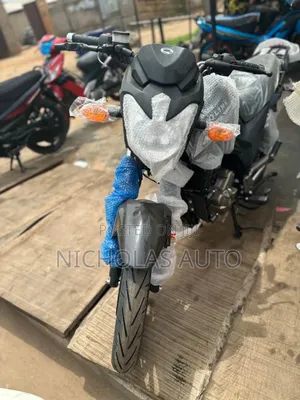 New Qlink X-ranger 200 2025