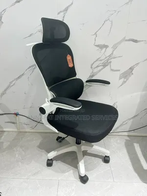 Ergonomic High- Back Mesh Office Chair