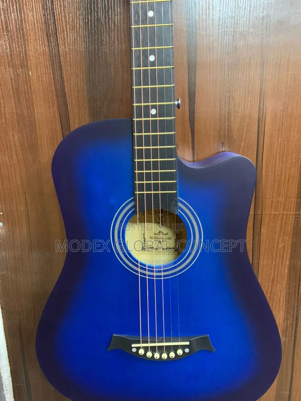 Acoustic Guitar