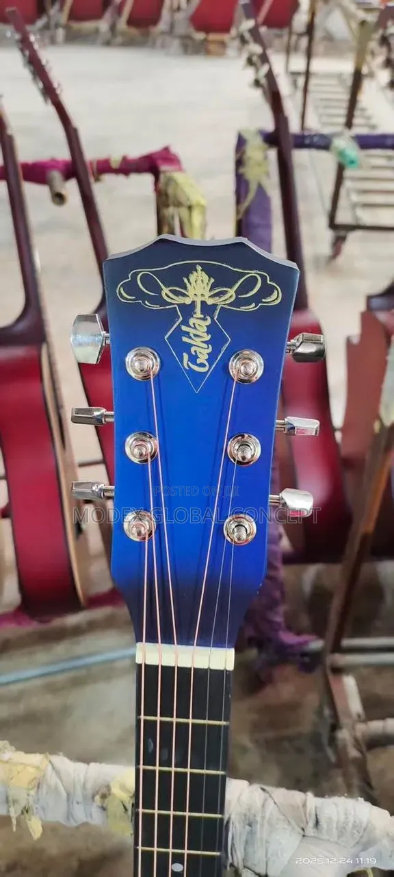 Acoustic Guitar