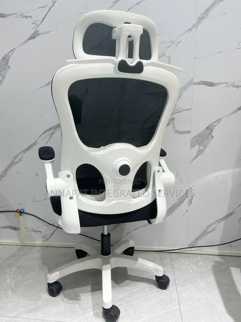 Ergonomic High- Back Mesh Study Chair
