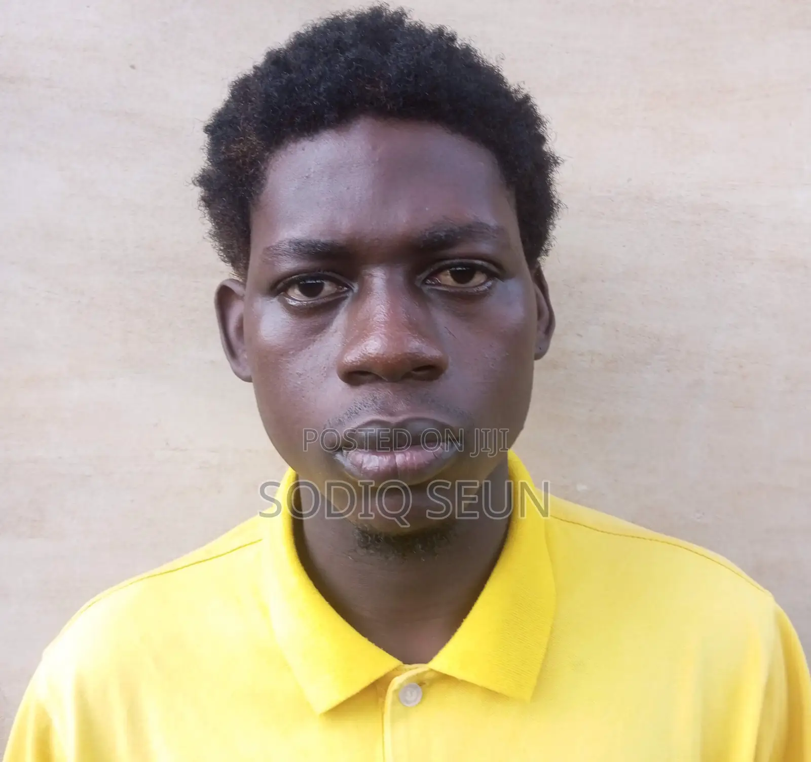 Dispatch Rider