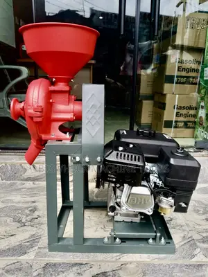 Original Wet and Dry Grinding Machine