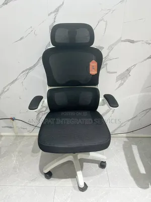 Ergonomic Office Chair With Headrest