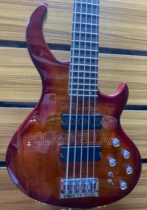 Strinberg Horizon Series 5-String Active Electric Bass Guitar.
