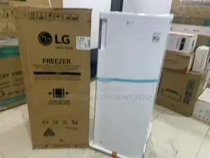 Lg Gn-304sqbr – Smart Storage Meets Modern Design